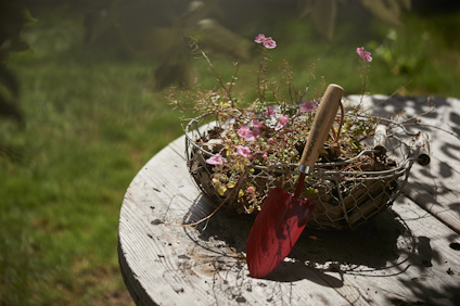 PLANTERINGSSPADE CLASSIC TRÄ