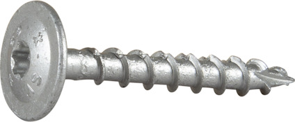 Träskruv med bred skalle och djup gänga mot ljus bakgrund.