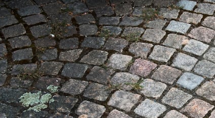 DESINFICERING GRÖNFRI DIREKT