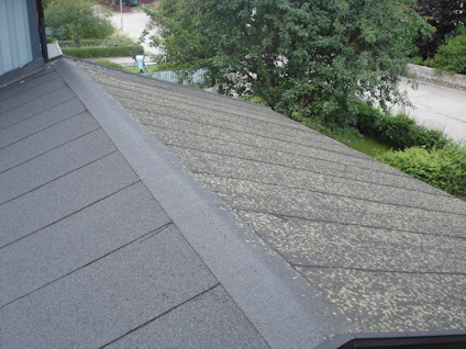 DESINFICERING GRÖNFRI DIREKT