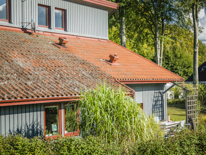 DESINFICERING GRÖNFRI DIREKT