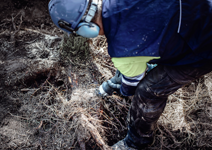 Person i arbetskläder och hjälm arbetar med verktyg i en skogsmiljö.