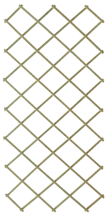 Grönbetsad träspaljé med rutmönster av snedställda ribbor.