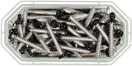 Skruvar i en transparent plastlåda. Skruvarna är silverfärgade med svarta huvuden.