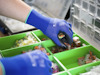 En hand med blå handske sorterar diverse små elektriska kopplingsdon i en grön förvaringslåda.