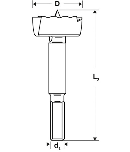 Borrbits i ritning med dimensioner markerade; D och L₂ för borrhuvudets längd och bredd, d₁ för skaftets bredd.